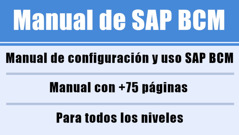 Manual de uso y configuración SAP BCM